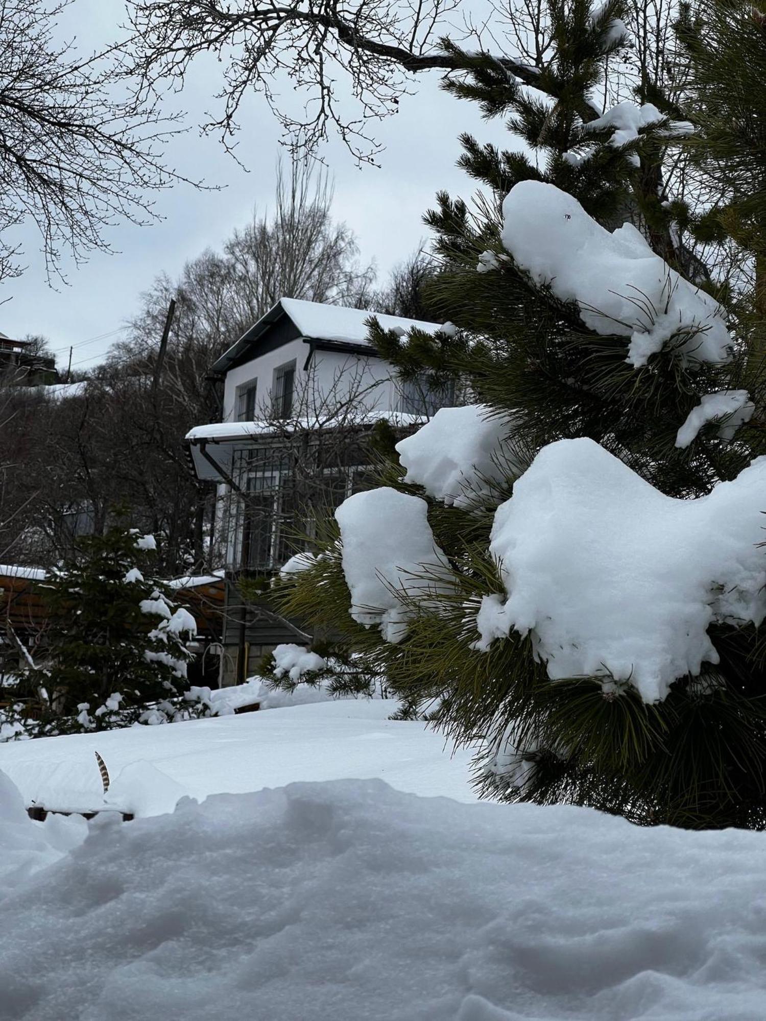 Дом В Горах Алматы Villa Kyrgauyldy Exterior photo